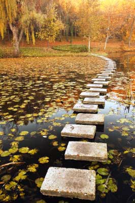 A path of life with stepping stones