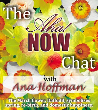 Image with the aha now chat with Ana Hoffman written