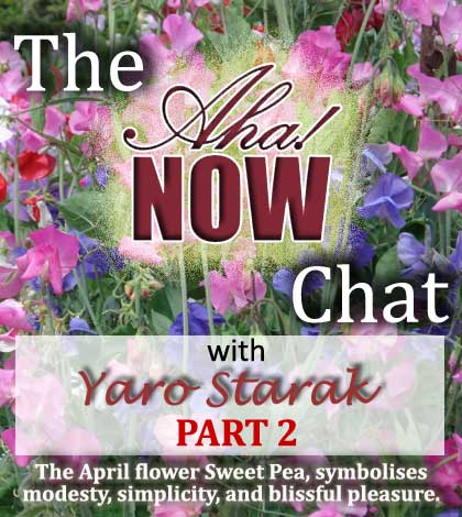 Interview with Yaro Starak Part 2