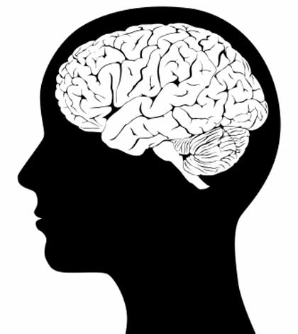 Human head diagram showing brain for mental health