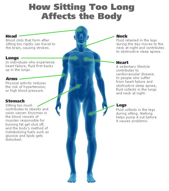 Human body diagram showing harmful effects of long sitting on body organs.