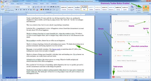 Grammarly button enabled on MS Word document
