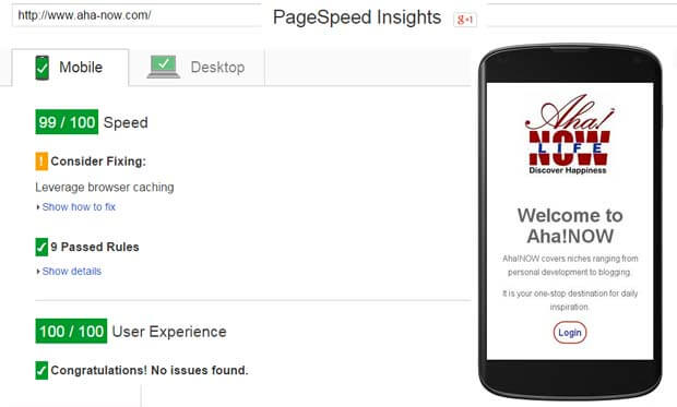 Google PageSpeed Mobile-Friendly Test for Aha!NOW Blog