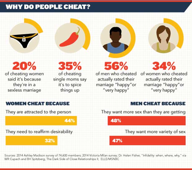 Infographic showing why spouse cheat on each other