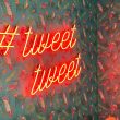 Tweet neon glow word on a background of birds