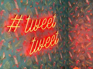 Tweet neon glow word on a background of birds