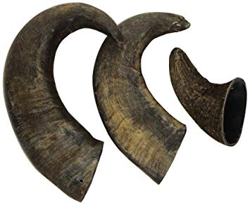 Water Buffalo Horns for Dogs