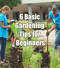 6 Basic Gardening Tips For Beginners - Aha!NOW