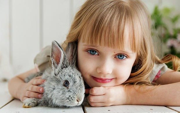 Pet rabbit with its pet parent