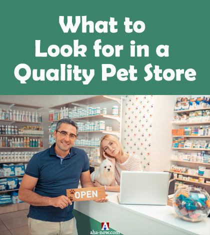 Pet owner and pet store owner inside a pet shop.
