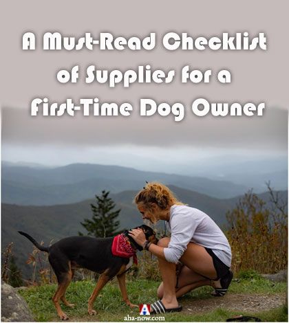 A Must-Read Checklist of Supplies for a First-Time Dog Owner