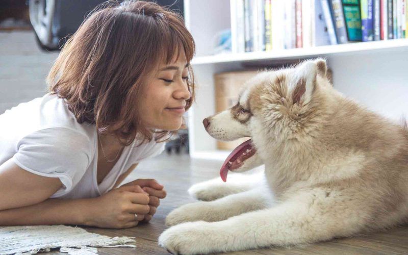 Woman with a therapy dog face to face