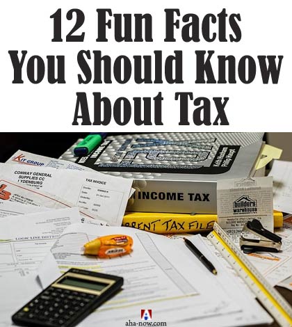 12 Fun Facts You Should Know About Tax
